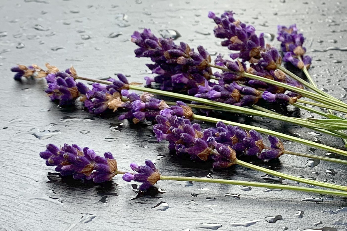 Picture of lavender on a slate board