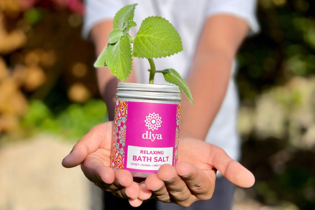 Image of Diya Bath Sat pot being used as a plant pot